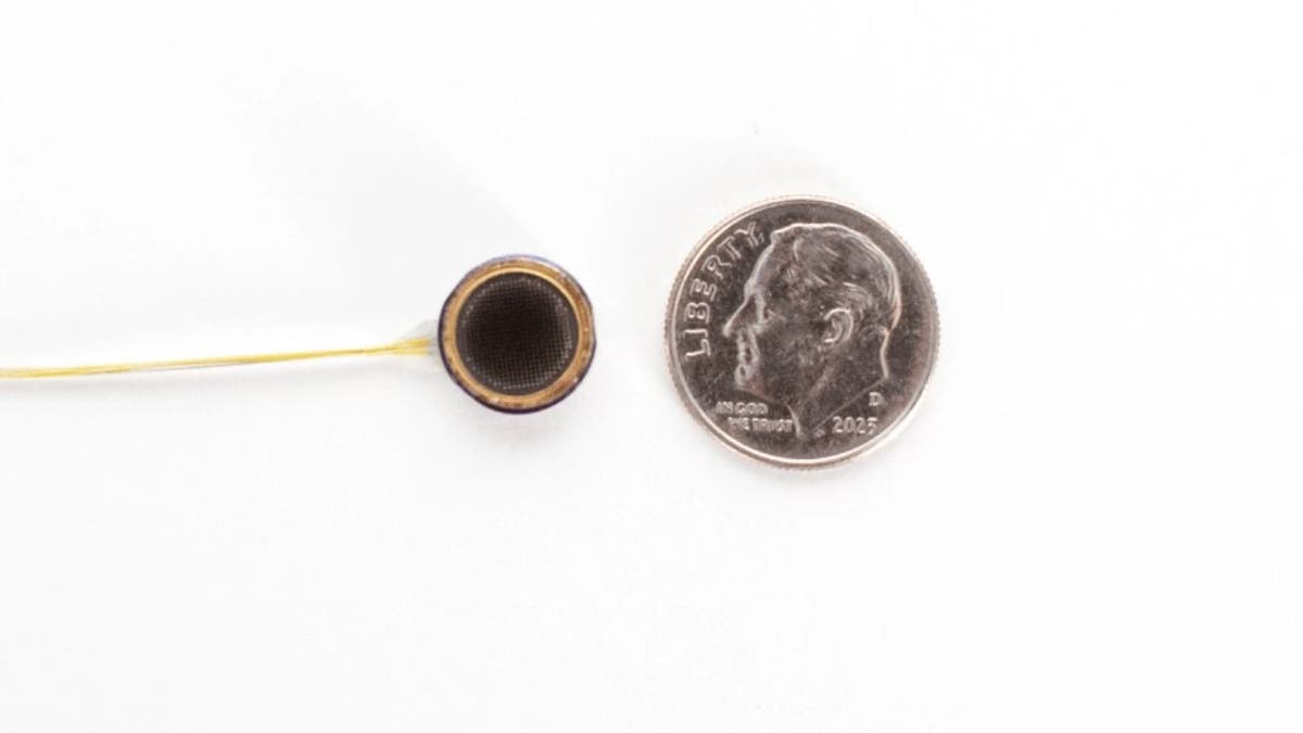 Brain implant 2